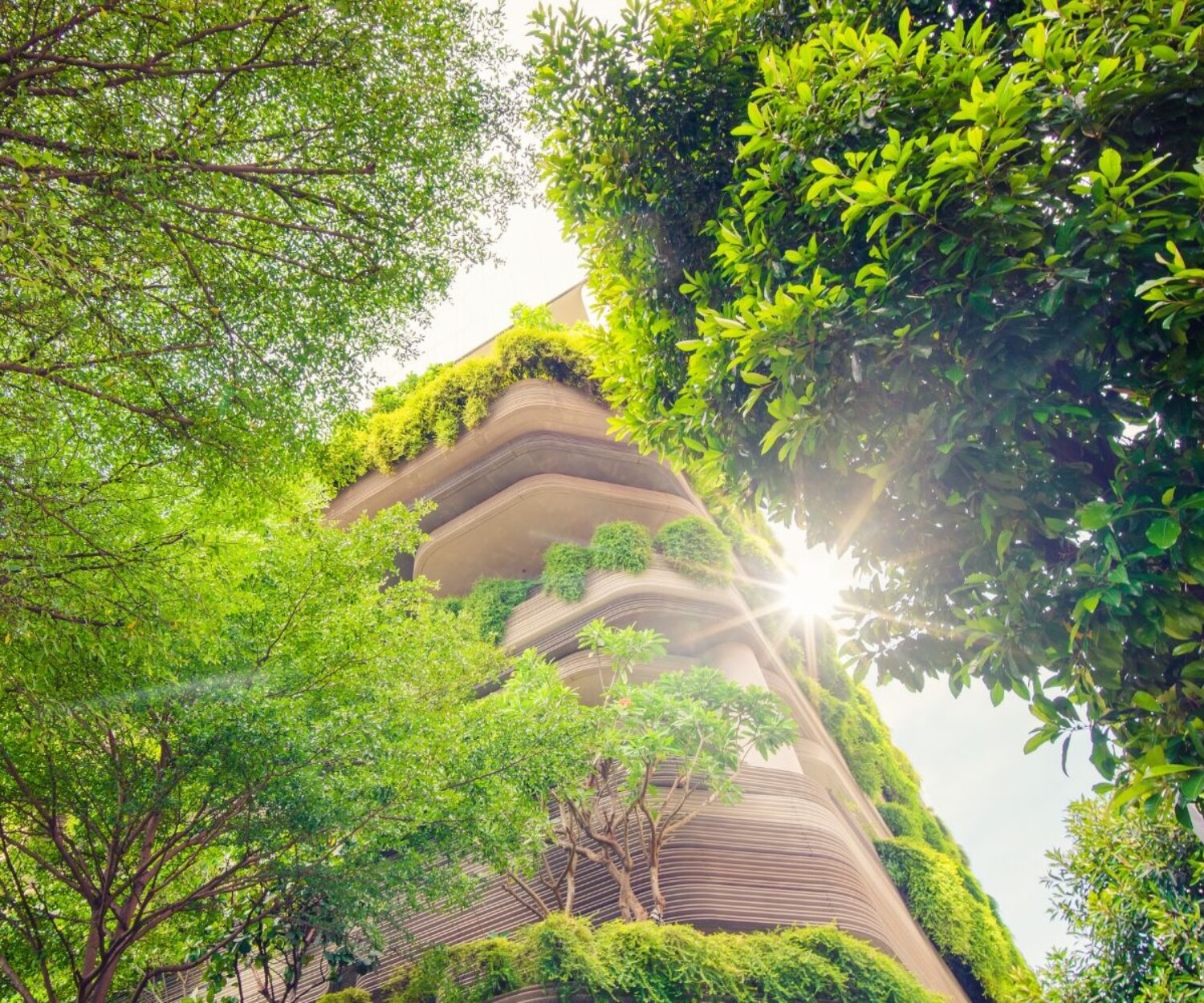 Green Hotel or Eco-Hotel Illustration