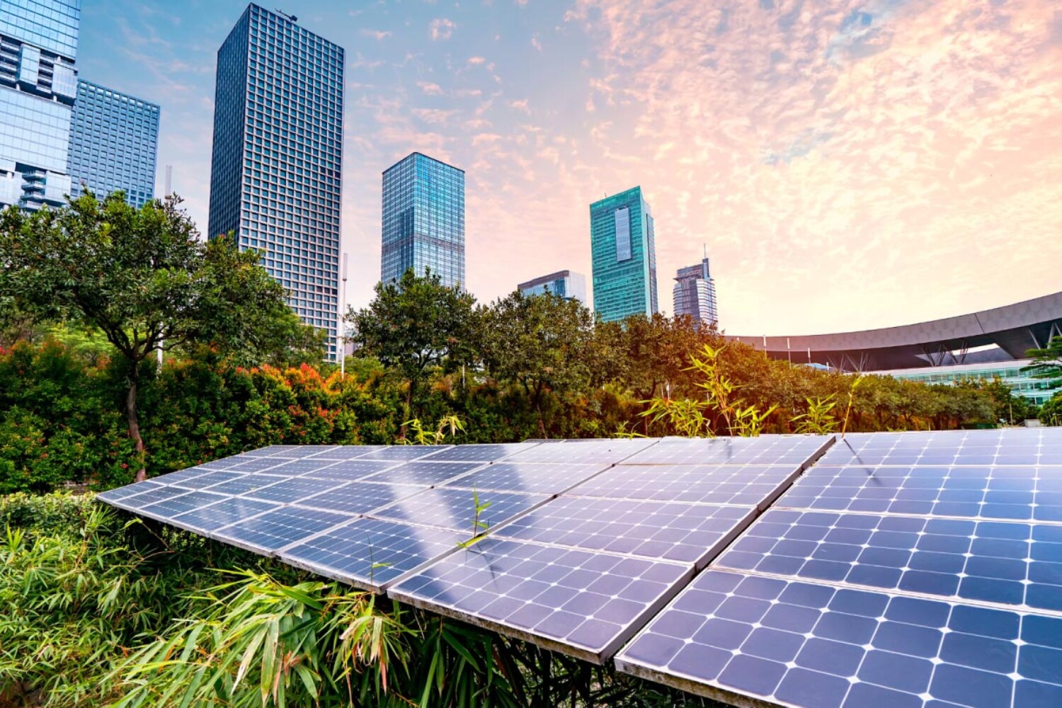 Green Energy vs. Renewable Energy