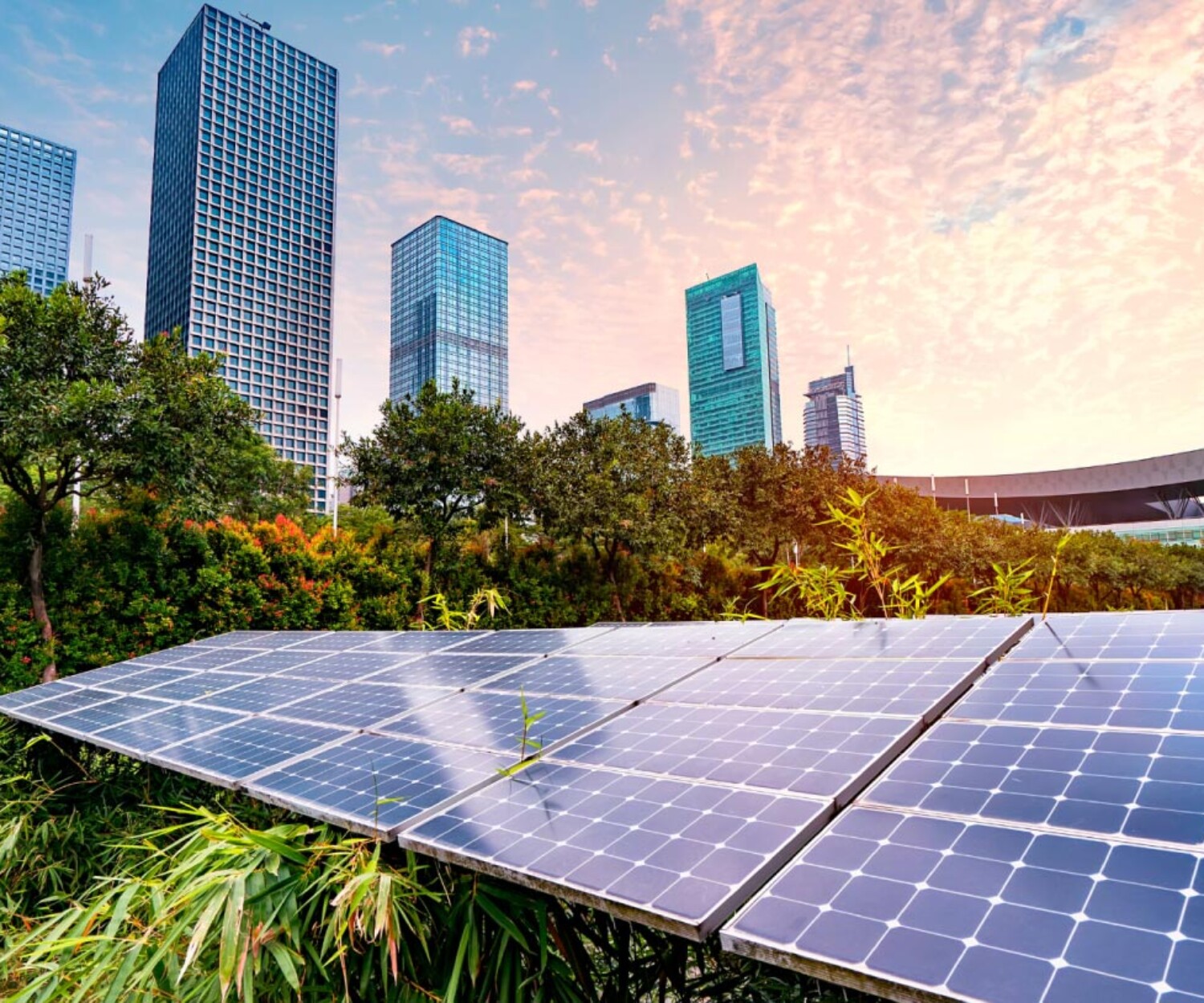 Green Energy vs. Renewable Energy